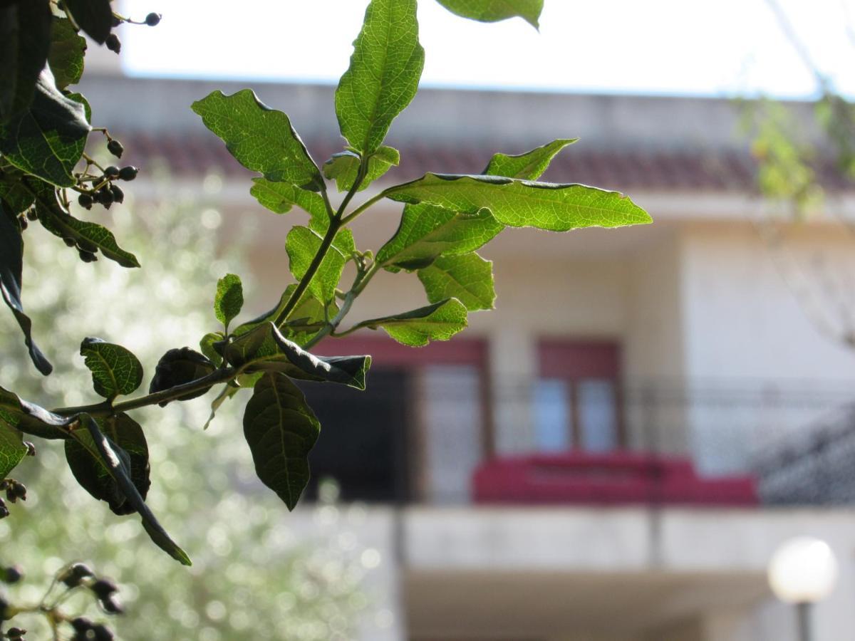 Villa Il Giovane Alloro มาร์ตินาฟรังกา ภายนอก รูปภาพ